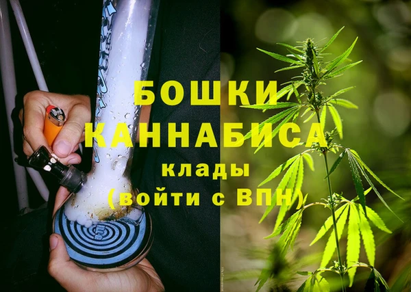 стаф Балахна