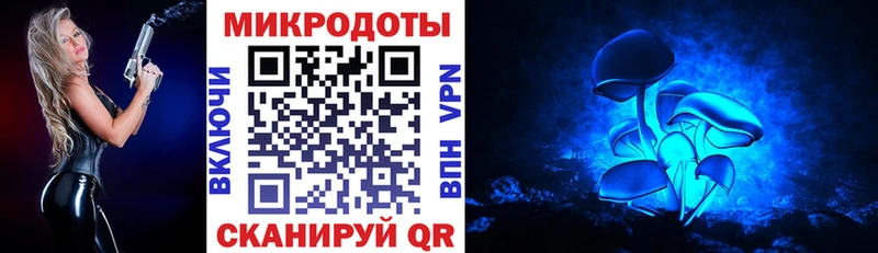 Псилоцибиновые грибы прущие грибы  Вязники 