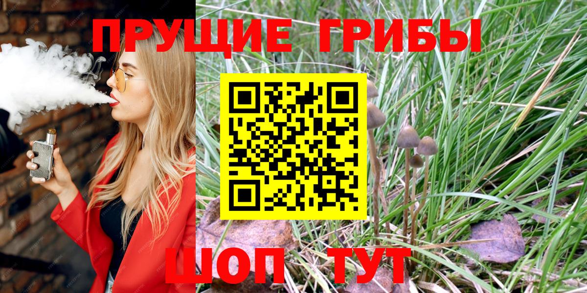 Вязники  Галлюциногенные грибы мицелий  Вход с VPN 