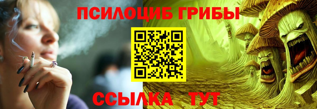 Галлюциногенные грибы ЛСД  Вязники  Галлюциногенные грибы прущие грибы 