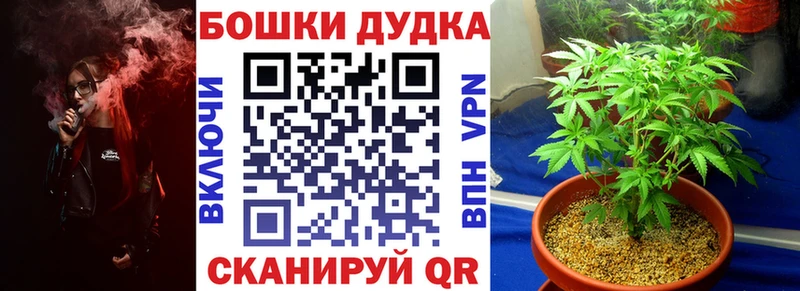 где купить Вязники Каннабис THC 21%